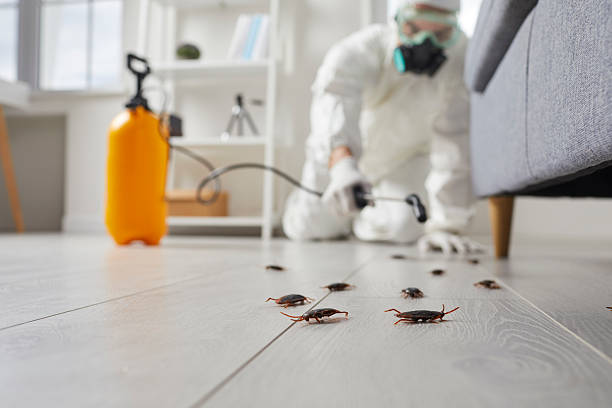 Commercial Kitchen Cockroach Control in Boonville